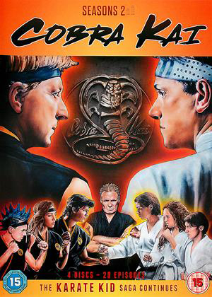 Cobra Kai: Series 2 (2019)