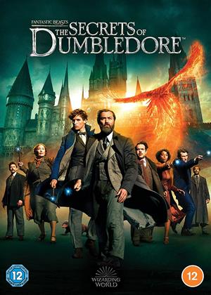 Fantastic Beasts: The Secrets of Dumbledore (2022)