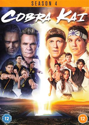 Cobra Kai: Series 4 (2021)