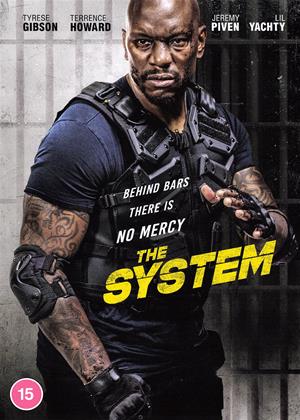 The System (2022)