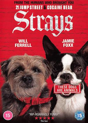 Strays (2023)