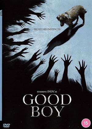 Good Boy (2025)